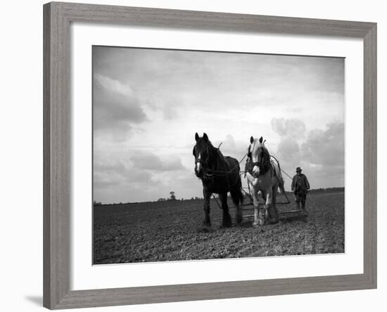 A Man on a Farm Harvesting in a Field with His Two Horses-null-Framed Photographic Print