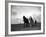 A Man on a Farm Harvesting in a Field with His Two Horses-null-Framed Photographic Print