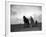 A Man on a Farm Harvesting in a Field with His Two Horses-null-Framed Photographic Print