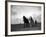 A Man on a Farm Harvesting in a Field with His Two Horses-null-Framed Photographic Print