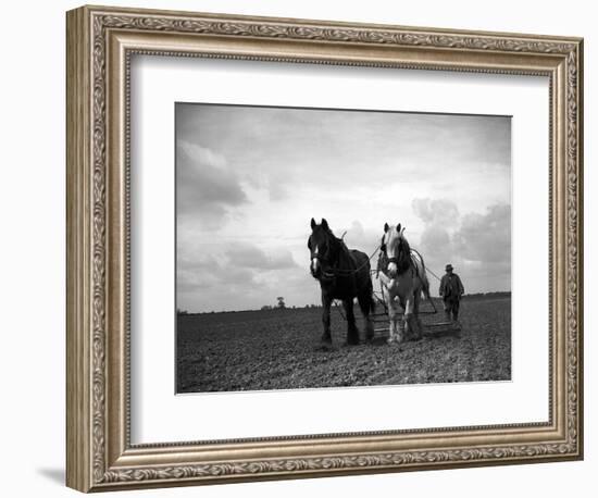 A Man on a Farm Harvesting in a Field with His Two Horses-null-Framed Photographic Print