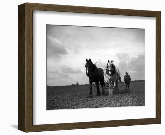 A Man on a Farm Harvesting in a Field with His Two Horses-null-Framed Photographic Print