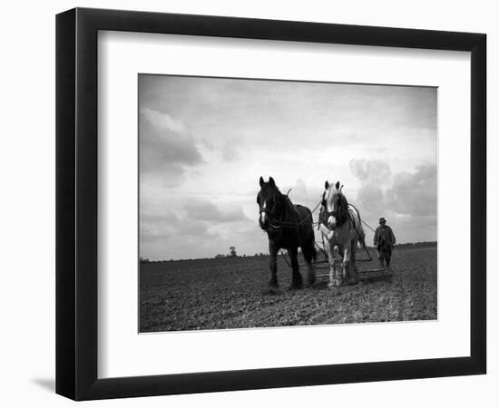 A Man on a Farm Harvesting in a Field with His Two Horses-null-Framed Photographic Print