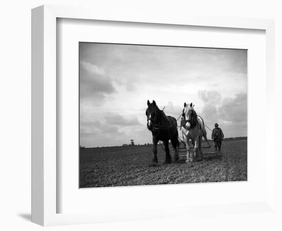 A Man on a Farm Harvesting in a Field with His Two Horses-null-Framed Photographic Print