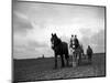 A Man on a Farm Harvesting in a Field with His Two Horses-null-Mounted Photographic Print