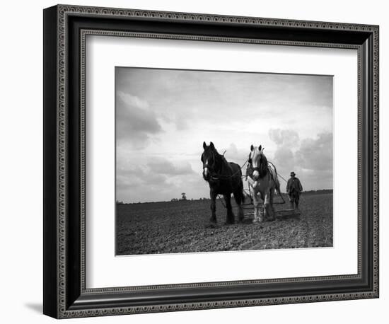 A Man on a Farm Harvesting in a Field with His Two Horses-null-Framed Photographic Print