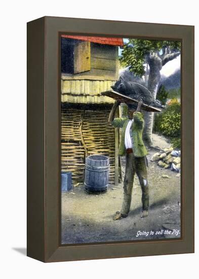 A Man on His Way to Market to Sell a Pig, Jamaica, C1900s-null-Framed Premier Image Canvas