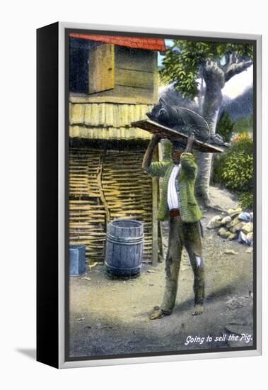 A Man on His Way to Market to Sell a Pig, Jamaica, C1900s-null-Framed Premier Image Canvas