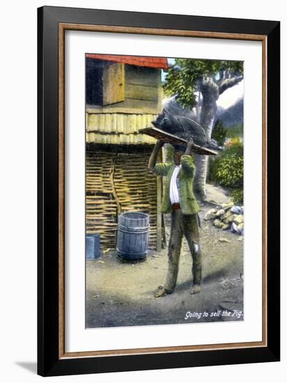 A Man on His Way to Market to Sell a Pig, Jamaica, C1900s-null-Framed Giclee Print