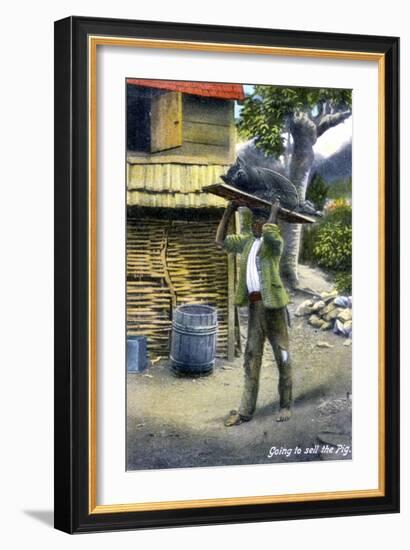 A Man on His Way to Market to Sell a Pig, Jamaica, C1900s-null-Framed Giclee Print