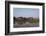 A man paddles his canoe past one of the floating villages on Inle Lake, Myanmar (Burma), Asia-Alex Treadway-Framed Photographic Print