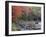 A Man Paddles His Canoe, Seboeis Lake, Millinocket, Maine, USA-Jerry & Marcy Monkman-Framed Photographic Print