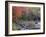 A Man Paddles His Canoe, Seboeis Lake, Millinocket, Maine, USA-Jerry & Marcy Monkman-Framed Photographic Print