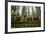 A Man Runs Along The Sand Point Trail Near Ozette, Washington In The Olympic National Park-Ben Herndon-Framed Photographic Print