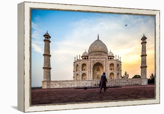 A Man Stands In Fron To F The Taj Mahal With Bird In Flight-Lindsay Daniels-Framed Premier Image Canvas