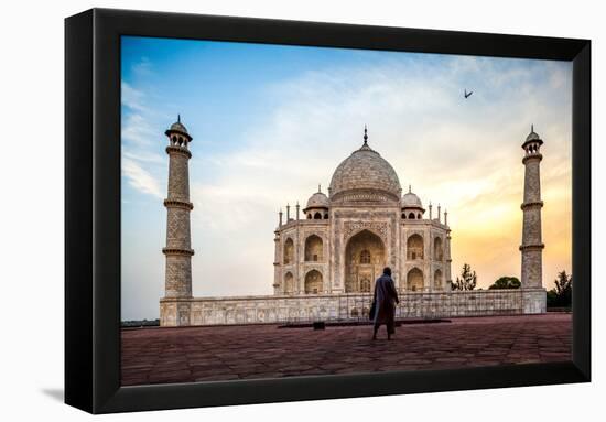 A Man Stands In Fron To F The Taj Mahal With Bird In Flight-Lindsay Daniels-Framed Premier Image Canvas