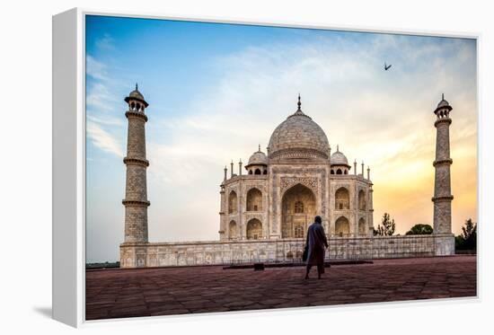 A Man Stands In Fron To F The Taj Mahal With Bird In Flight-Lindsay Daniels-Framed Premier Image Canvas