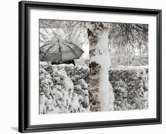 A Man with a Umbrella Walks by Snowy Trees During Heavy Snowfall-null-Framed Photographic Print