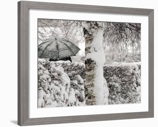 A Man with a Umbrella Walks by Snowy Trees During Heavy Snowfall-null-Framed Photographic Print