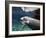 A Manatee Chews on a Dock Rope in Fanning Springs State Park, Florida-Stocktrek Images-Framed Photographic Print