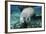 A Manatee Gnawing on the Dock Line at Fanning Springs State Park, Florida-Stocktrek Images-Framed Photographic Print