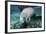 A Manatee Gnawing on the Dock Line at Fanning Springs State Park, Florida-Stocktrek Images-Framed Photographic Print