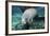 A Manatee Gnawing on the Dock Line at Fanning Springs State Park, Florida-Stocktrek Images-Framed Photographic Print