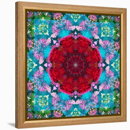 A Mandala from Flower Photographs and Water-Alaya Gadeh-Framed Premier Image Canvas