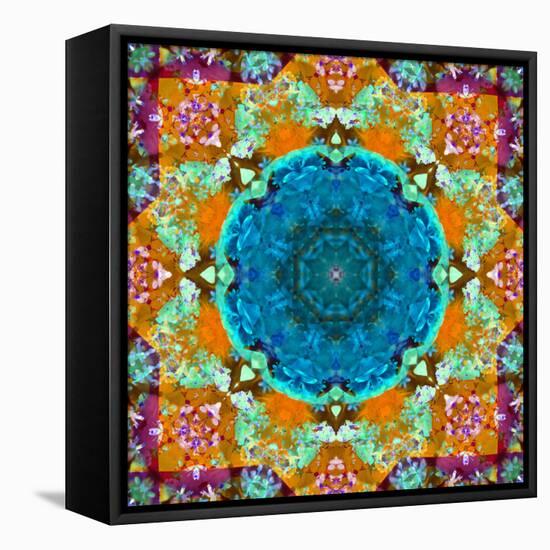 A Mandala from Flower Photographs and Water-Alaya Gadeh-Framed Premier Image Canvas