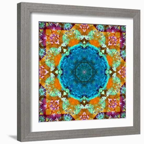 A Mandala from Flower Photographs and Water-Alaya Gadeh-Framed Photographic Print