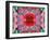 A Mandala from Flower Photographs-Alaya Gadeh-Framed Photographic Print