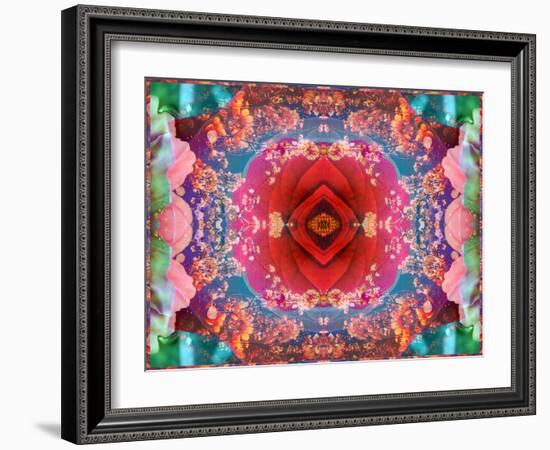 A Mandala from Flower Photographs-Alaya Gadeh-Framed Photographic Print