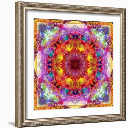 A Mandala from Flower Photographs-Alaya Gadeh-Framed Photographic Print