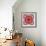 A Mandala from Flower Photographs-Alaya Gadeh-Framed Photographic Print displayed on a wall