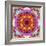 A Mandala from Flower Photographs-Alaya Gadeh-Framed Photographic Print