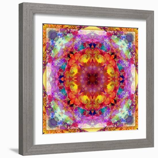 A Mandala from Flower Photographs-Alaya Gadeh-Framed Photographic Print