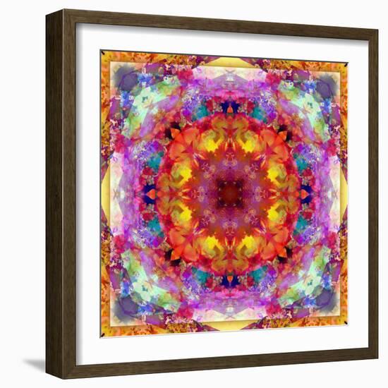 A Mandala from Flower Photographs-Alaya Gadeh-Framed Photographic Print