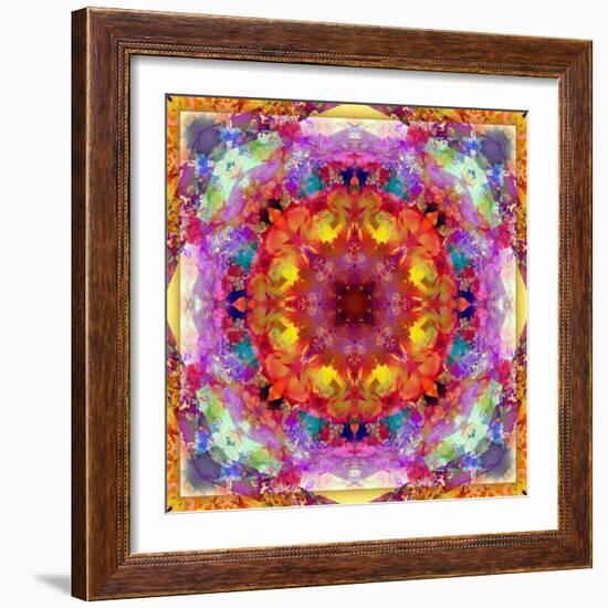 A Mandala from Flower Photographs-Alaya Gadeh-Framed Photographic Print