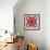 A Mandala from Flower Photographs-Alaya Gadeh-Framed Photographic Print displayed on a wall