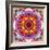 A Mandala from Flower Photographs-Alaya Gadeh-Framed Photographic Print