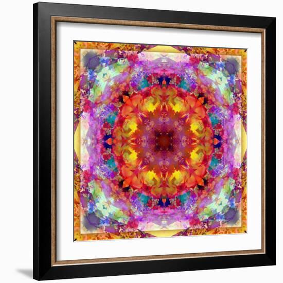 A Mandala from Flower Photographs-Alaya Gadeh-Framed Photographic Print