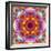 A Mandala from Flower Photographs-Alaya Gadeh-Framed Photographic Print