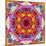 A Mandala from Flower Photographs-Alaya Gadeh-Mounted Photographic Print