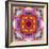 A Mandala from Flower Photographs-Alaya Gadeh-Framed Photographic Print