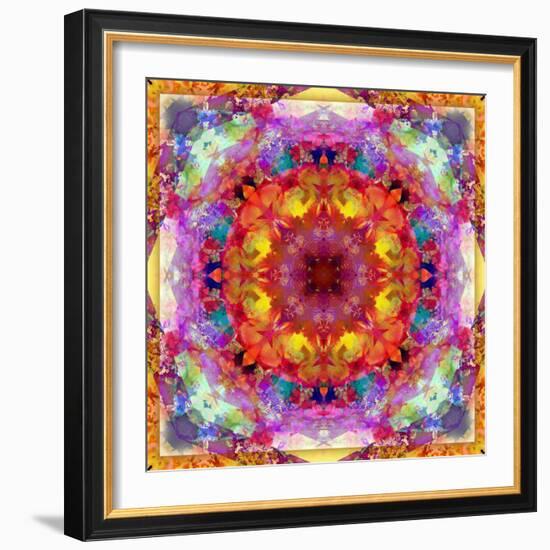 A Mandala from Flower Photographs-Alaya Gadeh-Framed Photographic Print