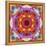 A Mandala from Flower Photographs-Alaya Gadeh-Framed Premier Image Canvas