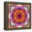 A Mandala from Flower Photographs-Alaya Gadeh-Framed Premier Image Canvas