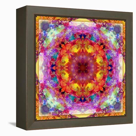 A Mandala from Flower Photographs-Alaya Gadeh-Framed Premier Image Canvas
