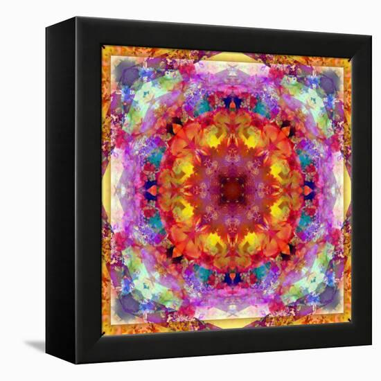 A Mandala from Flower Photographs-Alaya Gadeh-Framed Premier Image Canvas