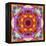 A Mandala from Flower Photographs-Alaya Gadeh-Framed Premier Image Canvas